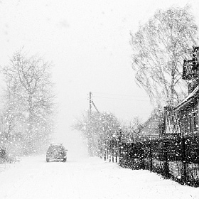 Снегопад | Фотограф Ольга Бородина | foto.by фото.бай