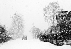 Снегопад | Фотограф Ольга Бородина | foto.by фото.бай