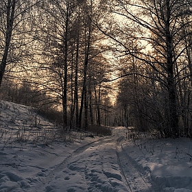 фотограф Александр Чиж. Фотография "**Зимний.Лесной**"