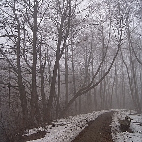 фотограф Василий Якушев. Фотография "Туман"