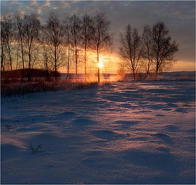 Утро в январе | Фотограф Сергей Шабуневич | foto.by фото.бай
