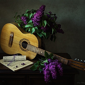 О чем рассказала старая гитара | Фотограф Ирина Приходько | foto.by фото.бай