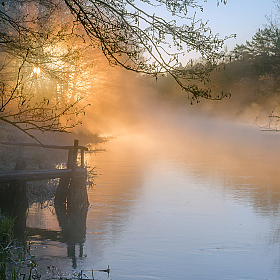 В утреннем тумане | Фотограф Руслан Авдевич | foto.by фото.бай