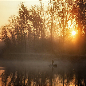 фотограф Александр Шатохин. Фотография "Осеннее солнце"