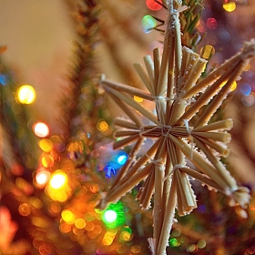 christmas star | Фотограф Андрей Башкирцев | foto.by фото.бай