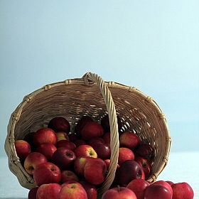 фотограф Павел Бурак. Фотография "Яблочное настроение (1)"
