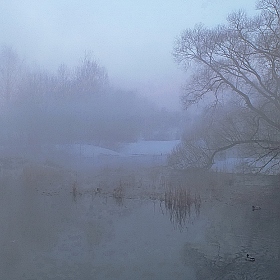 фотограф Валерий Козуб. Фотография "Утро туманное"
