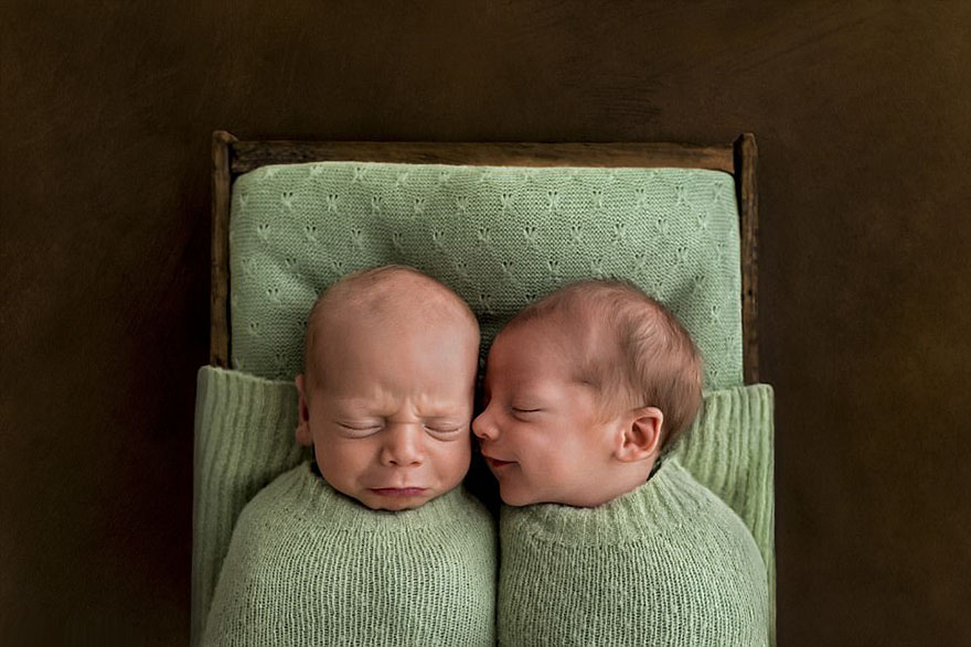 необыкновенные портреты новорожденных ребекки колефакс