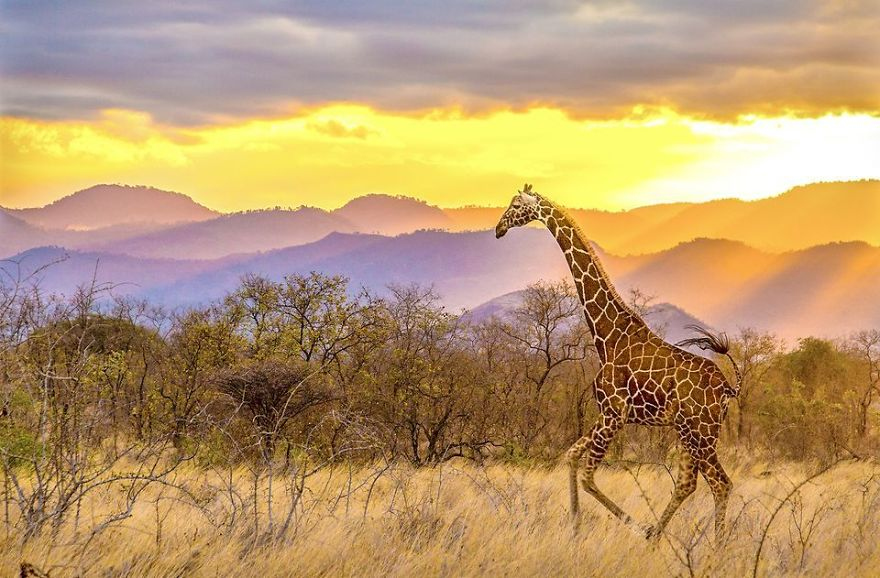 лучшие фотографии national geographic travel photographer of the year 2017 в категории природа