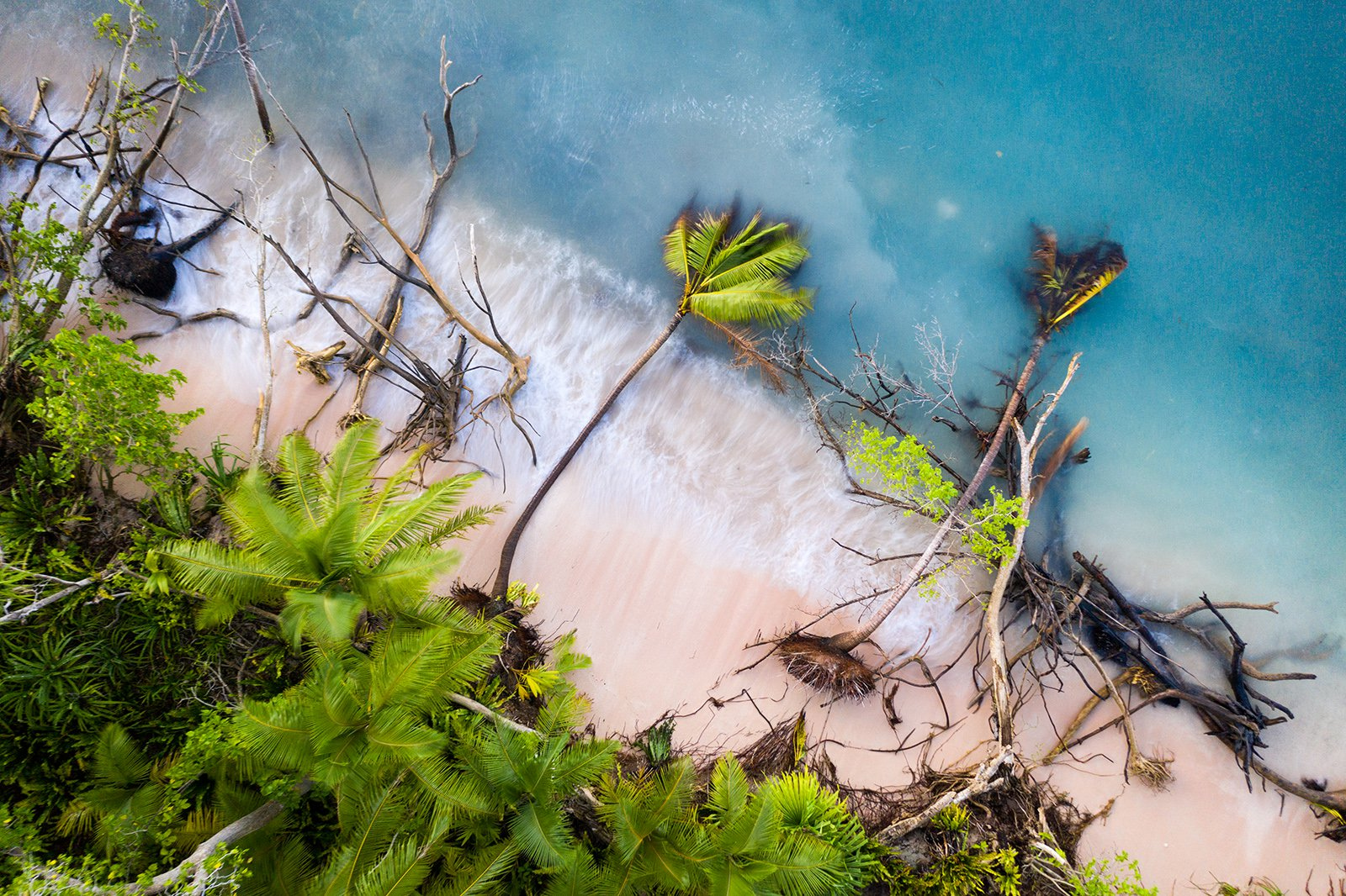 победители конкурса environmental photographer of the year 2019