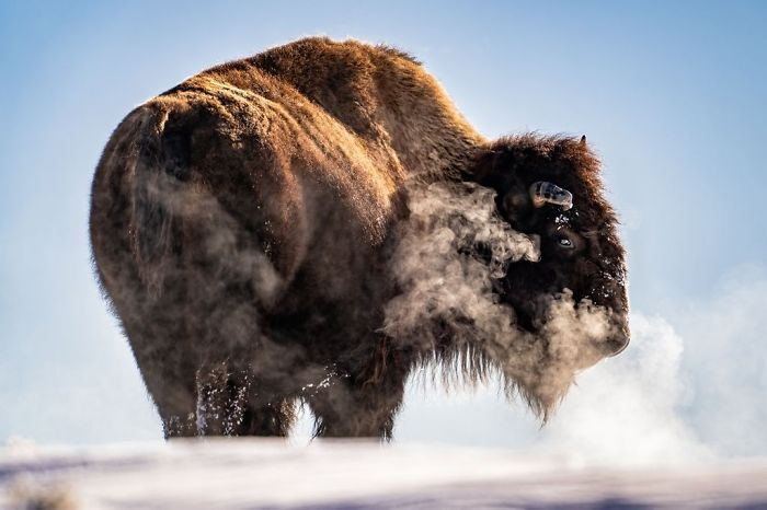 финалисты national geographic travel photographer of the year 2019