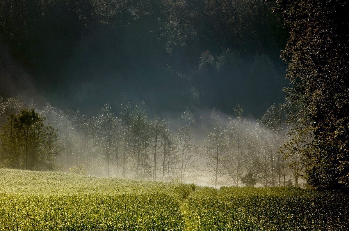 загадочные фото пейзажи мариуша bидериньски
