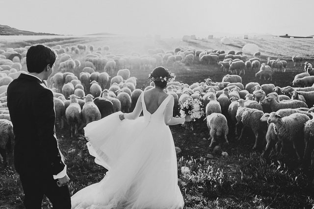 лучшие свадебные фотографии 2015