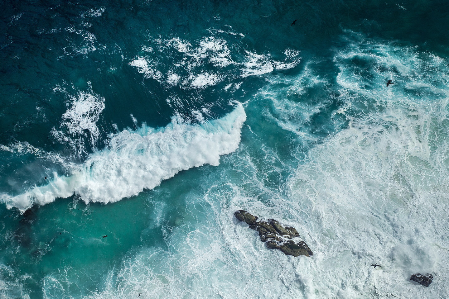 впечатляющие морские пейзажи бертуса ханекома