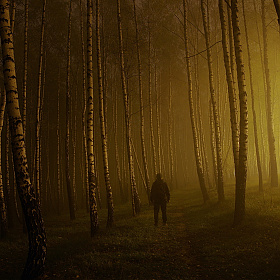 Источники света в ночном пейзаже. | Фотограф Сергей Шляга | foto.by фото.бай