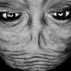 Портреты вверх ногами Анелии Либсе | Блог о фотографии | Фотограф Команда foto.by