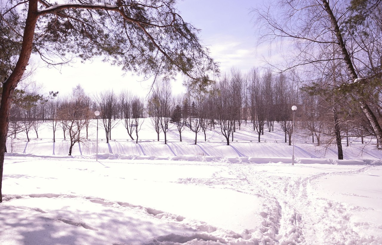 Фотография для критики ""Зима в марте"" | Фотограф Дарья Новицкая | foto.by фото.бай