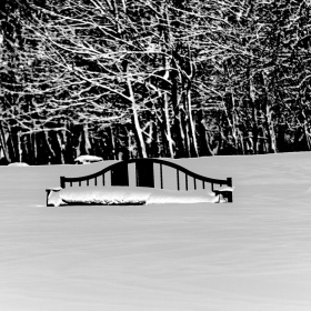Фотография для критики "Чёрная скамейка в белом снегу " | Фотограф Sergey Kolachev | foto.by фото.бай
