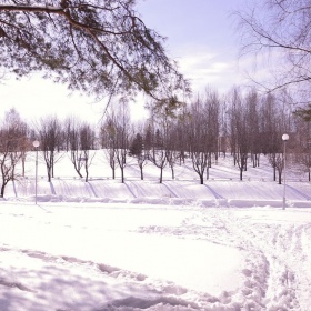 Фотография для критики ""Зима в марте"" | Фотограф Дарья Новицкая | foto.by фото.бай