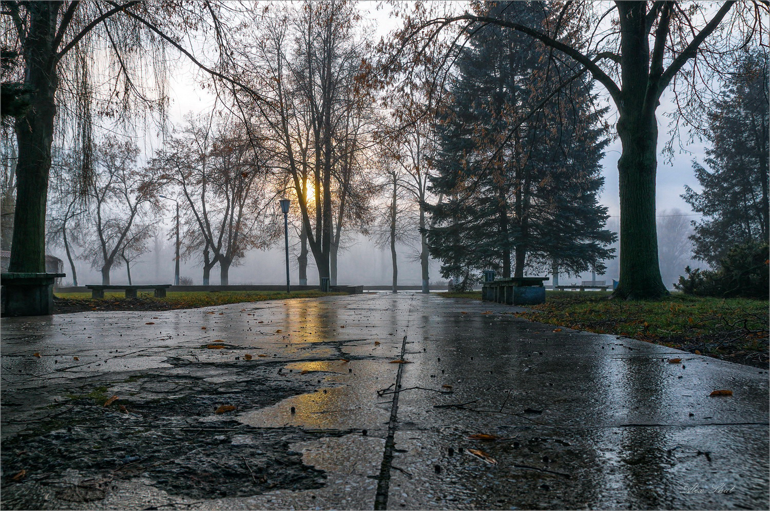 Унылый рассвет | Фотограф Александр Шатохин | foto.by фото.бай