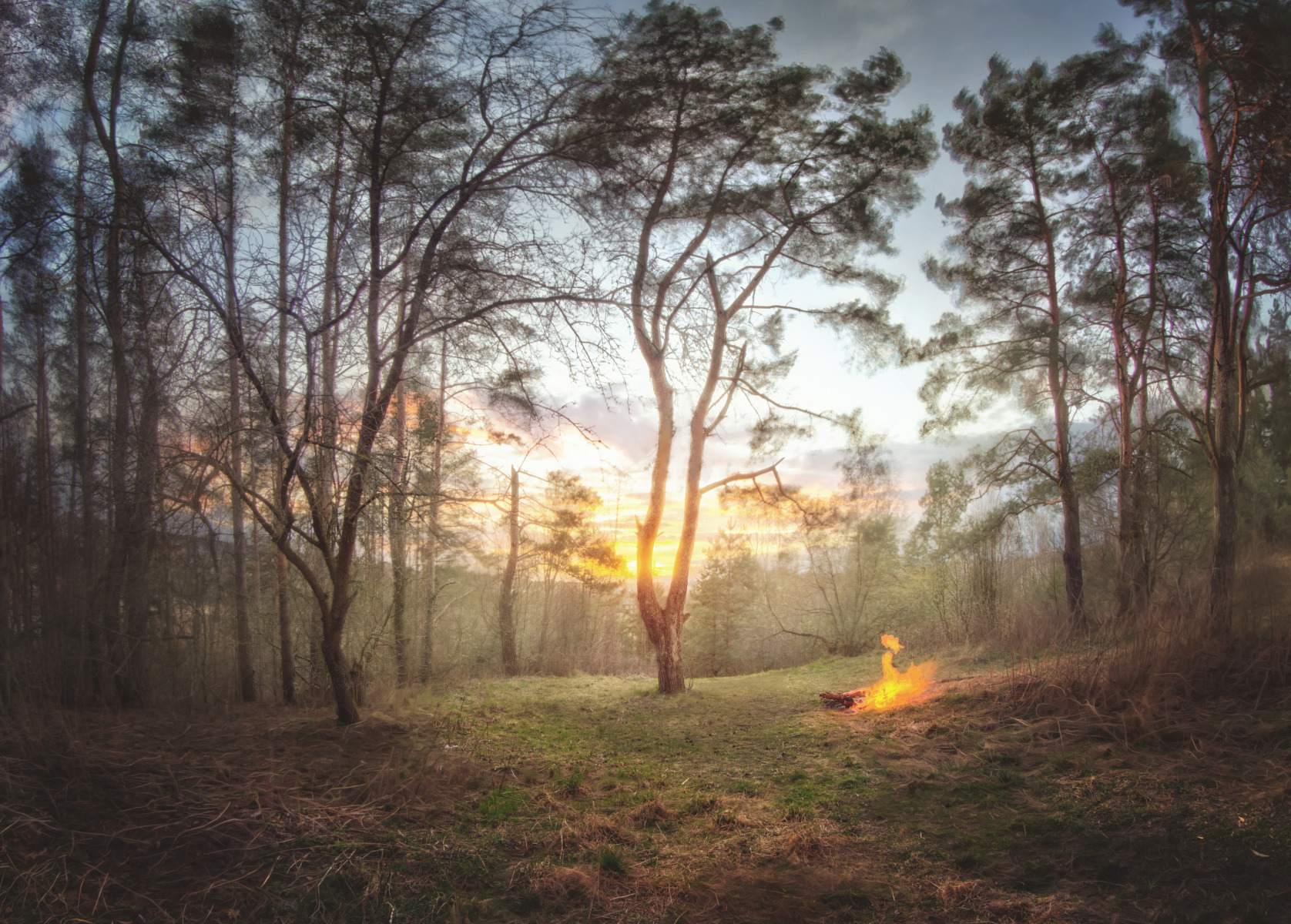 Весенний закат в огне | Фотограф Роман Филиповец | foto.by фото.бай