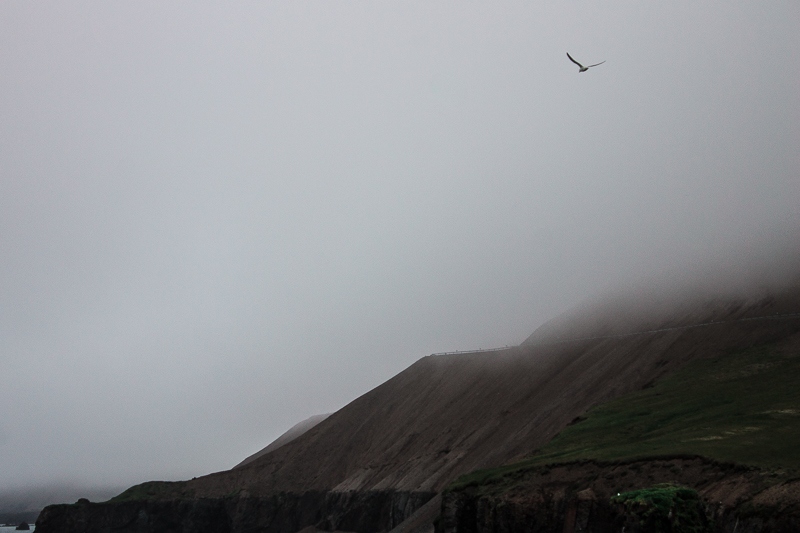 Iceland Pt.2 | Фотограф Даниил Жолобов | foto.by фото.бай