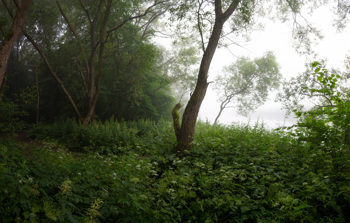 Утро возле реки | Фотограф Сергей Шабуневич | foto.by фото.бай