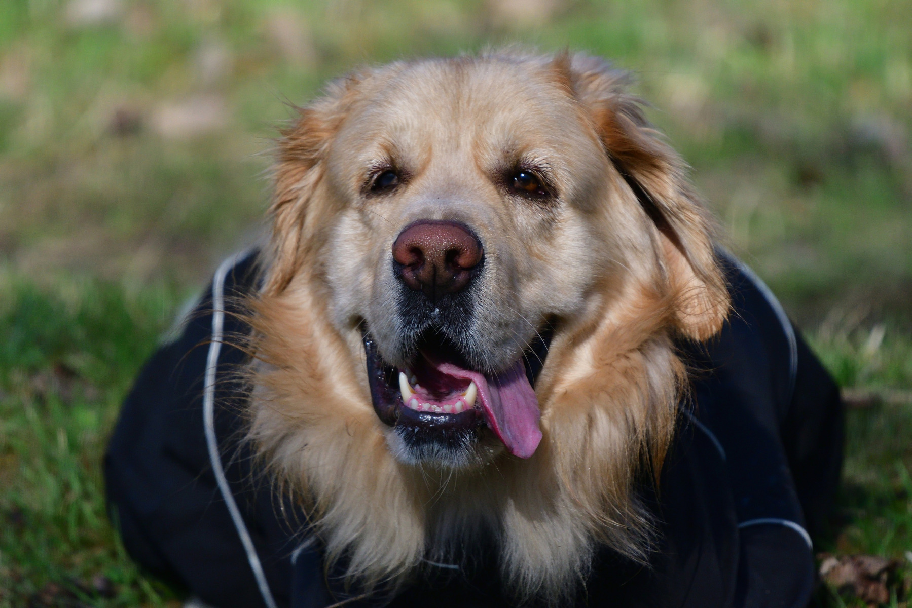 Leron.. | foto.by фото.бай