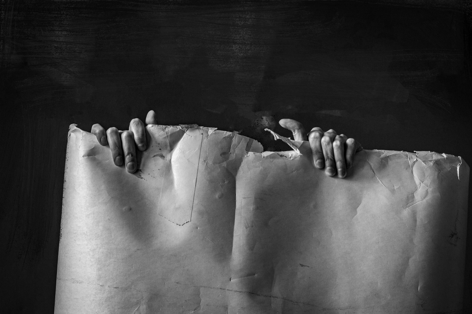 Фотограф Павел Есипенко, фотография от 02.01.2026