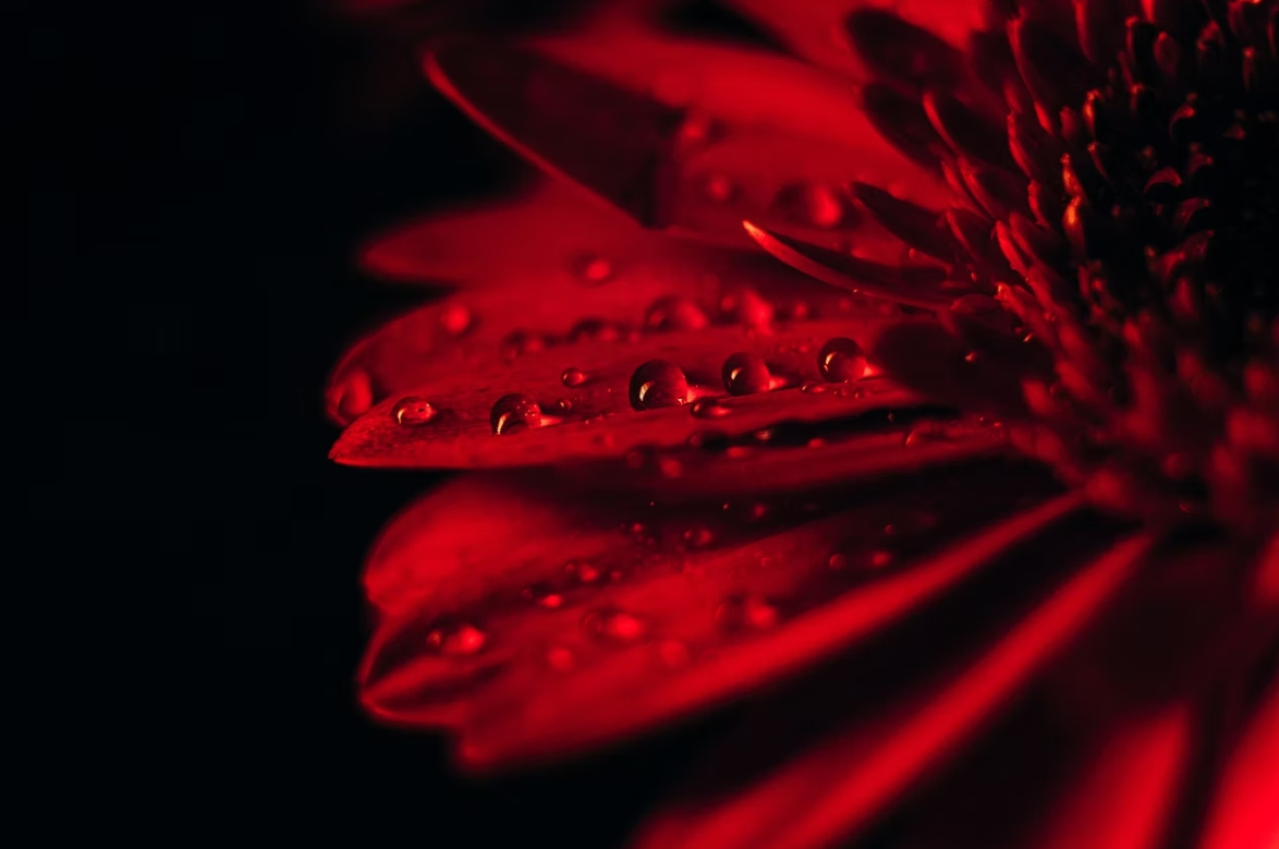 Фотограф Мария Войтик, фотография от 24.12.2025