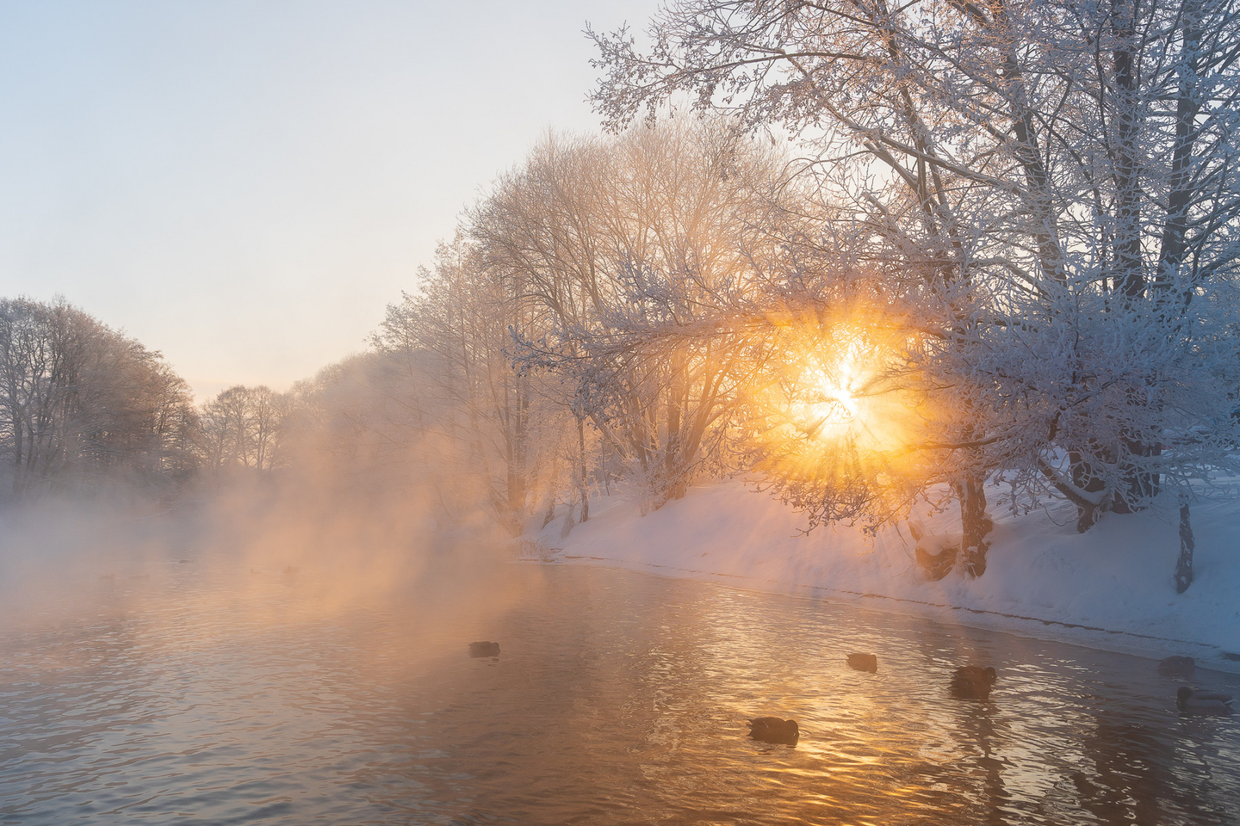 Марозны ранак на рацэ Свіслач | foto.by фото.бай