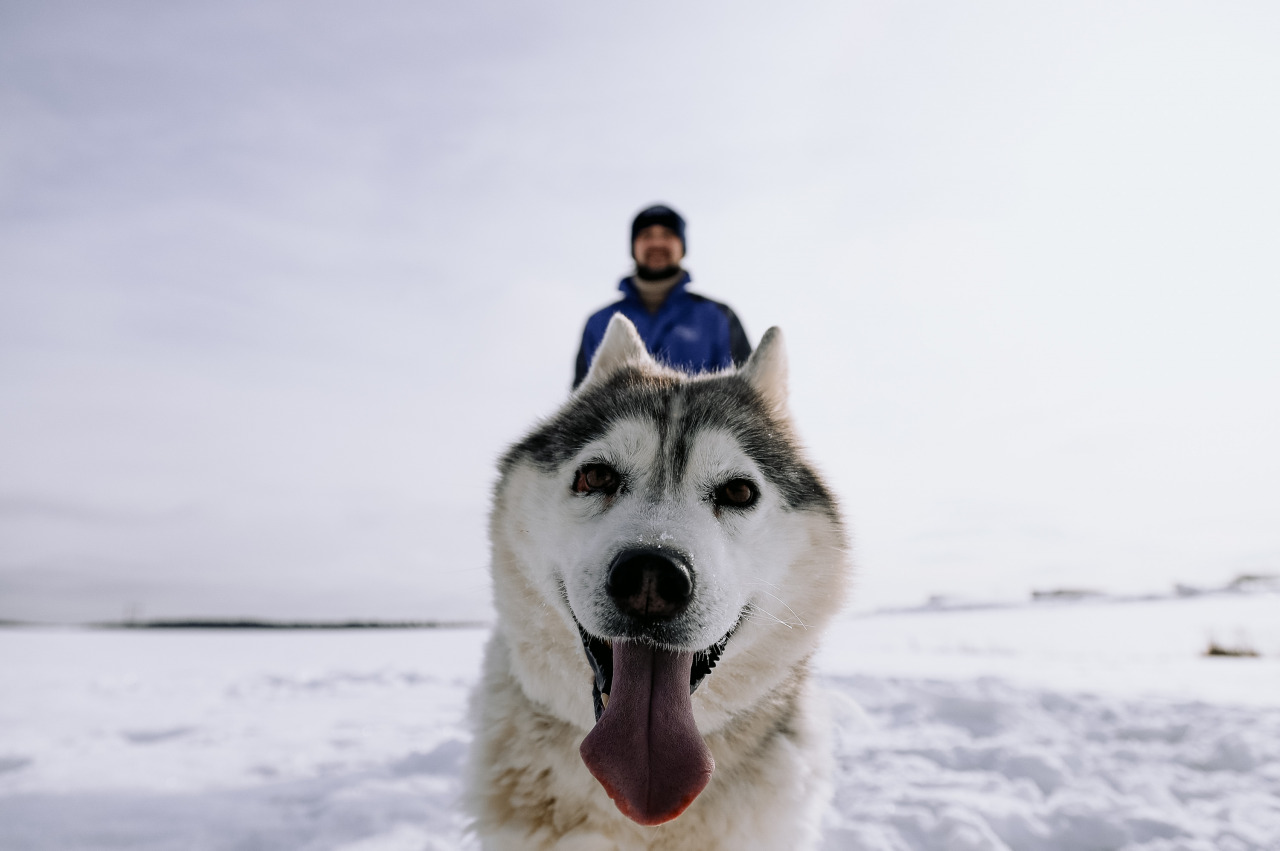 Фотограф в Минске - семейный, свадебный, репортажный фотограф. Фотосъёмка крещения, дня рождения, юбилея, венчания, корпоратива в Минске., фотография от 18.02.2026