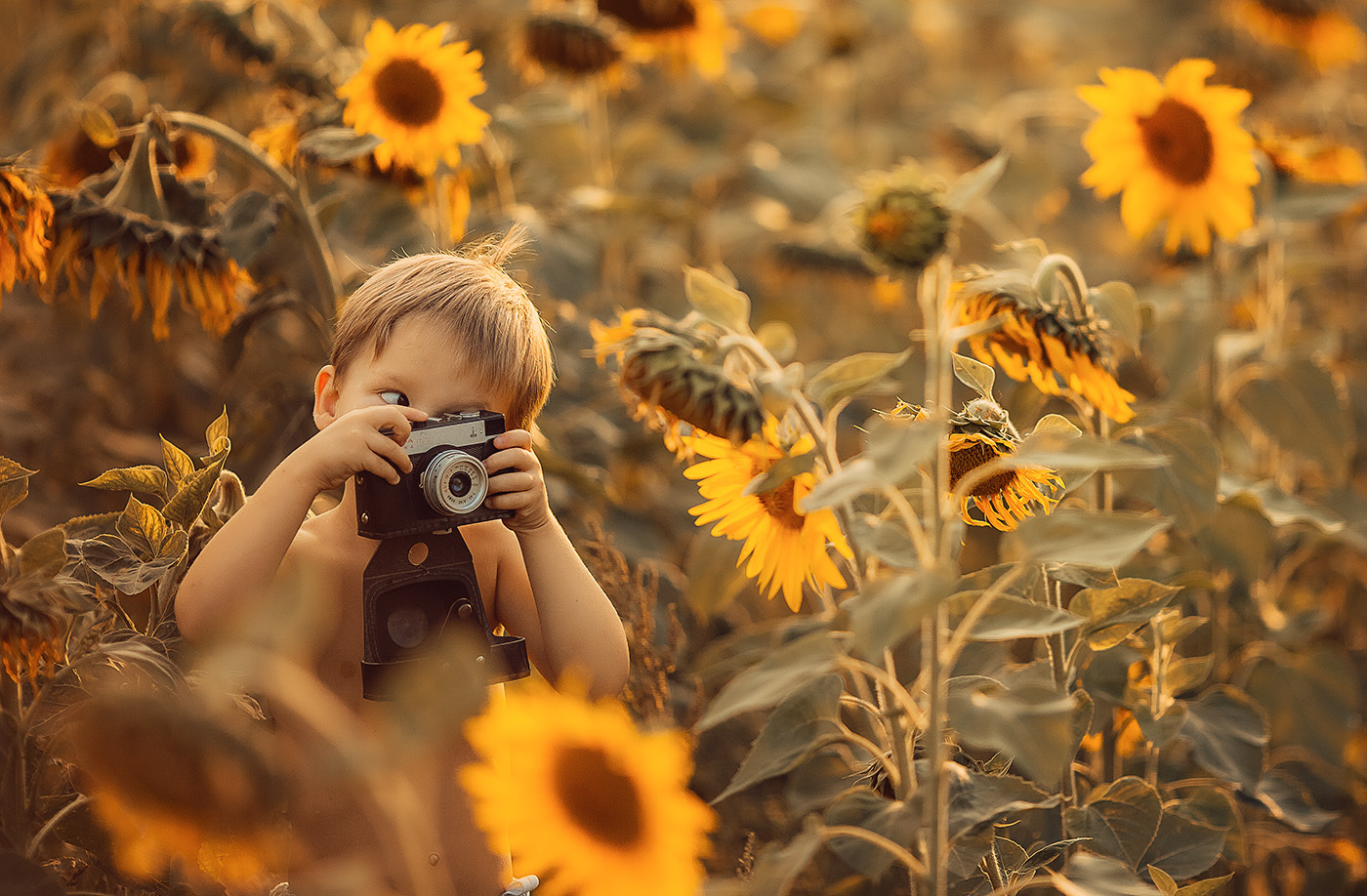 Фотограф Алексей Карпук, фотография от 02.07.2019