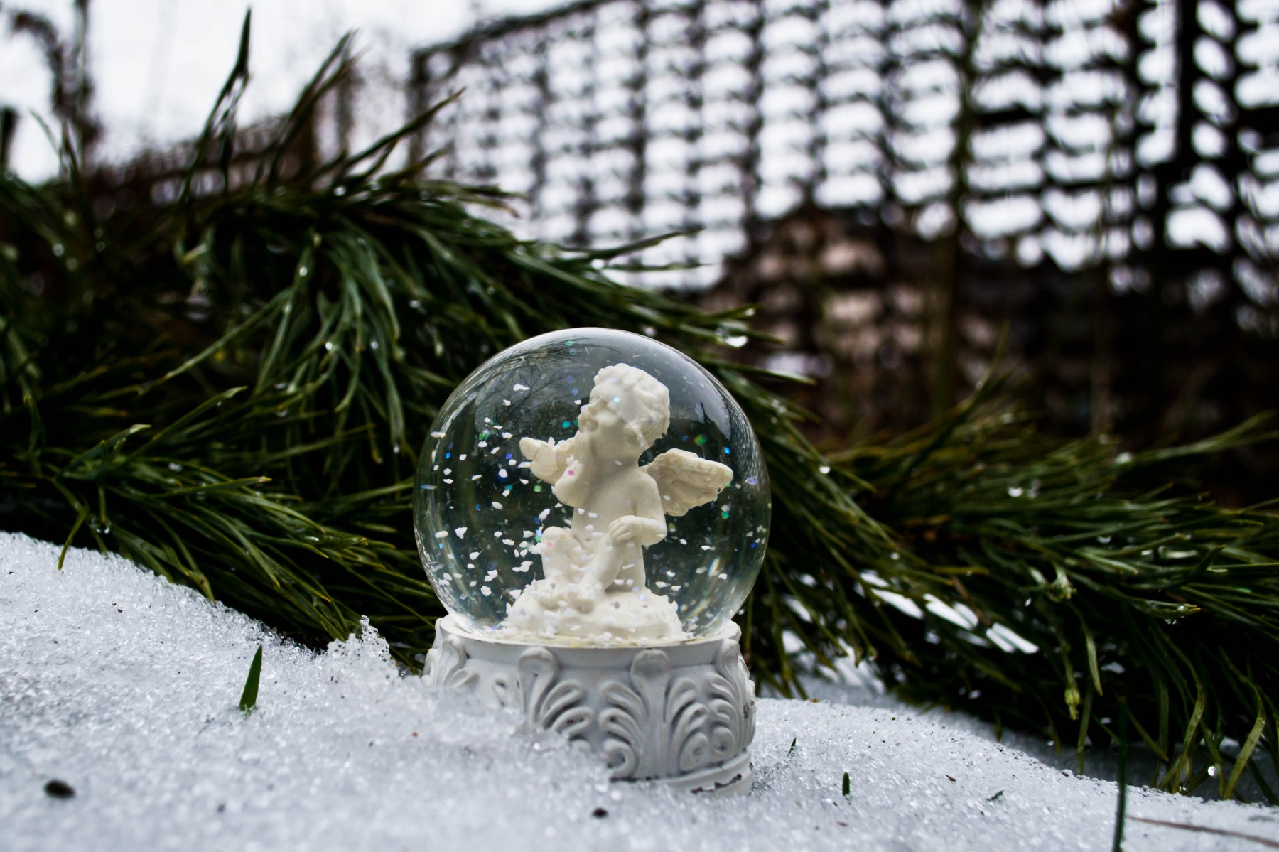 Почему зима уходит в январе?.. | Фотограф Юлия Кранина | foto.by фото.бай