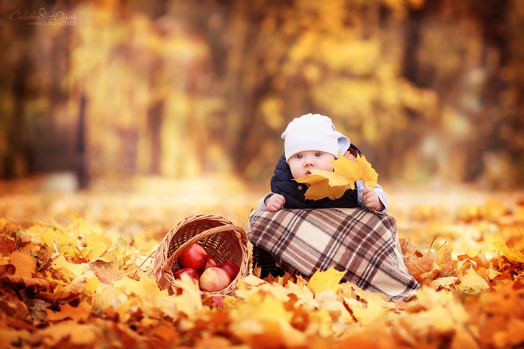Первая осень :) | Фотограф Юлия Сакович | foto.by фото.бай