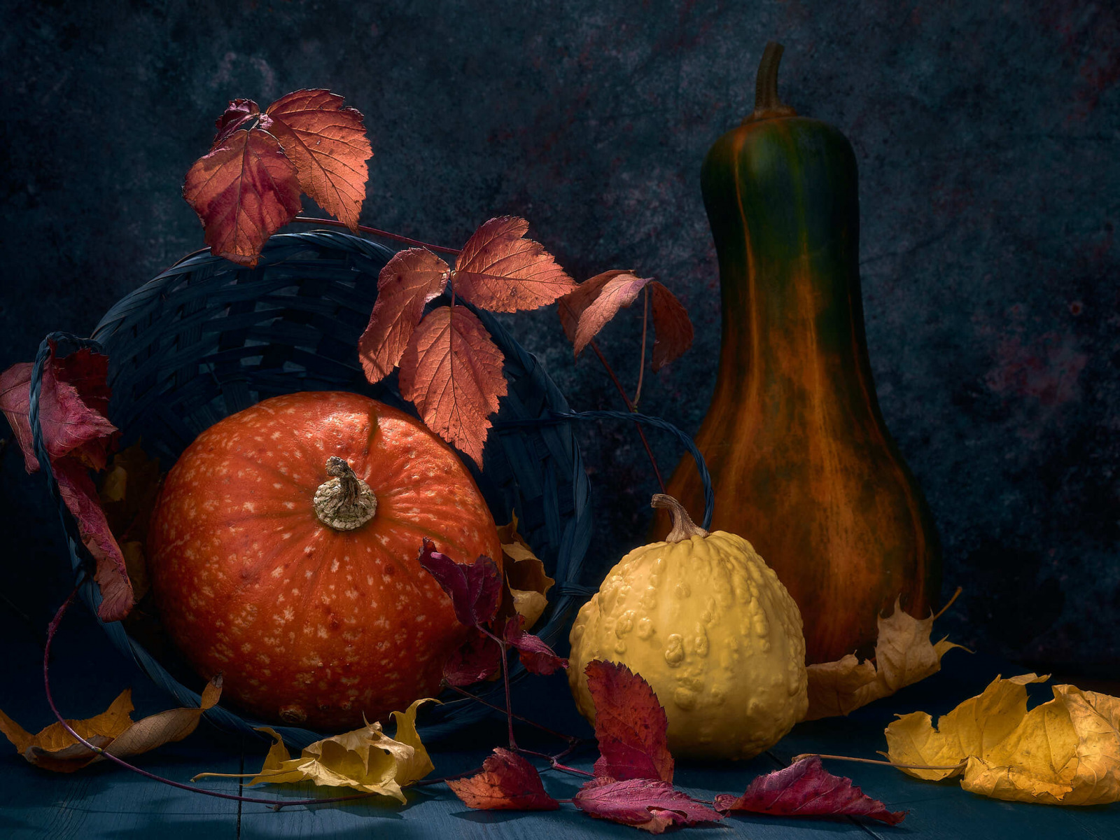 Pumpkin | Фотограф Зміцер Пахоменка | foto.by фото.бай