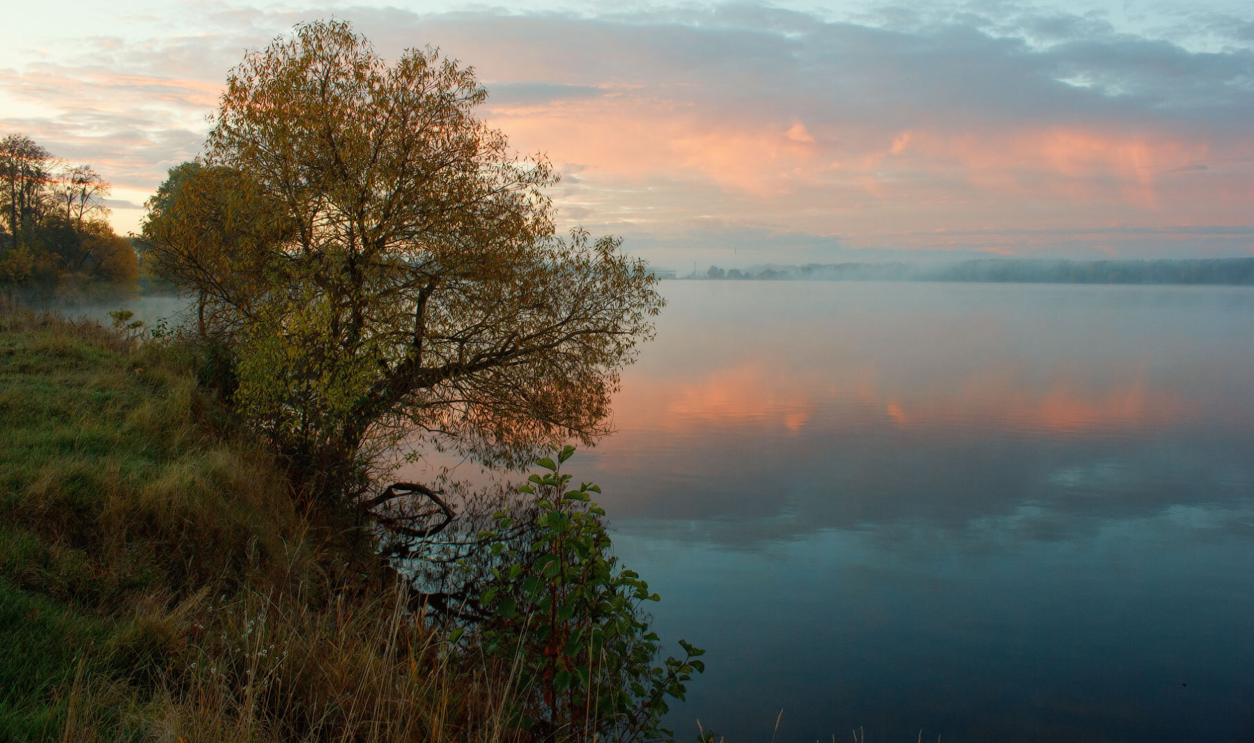 Утро | foto.by фото.бай