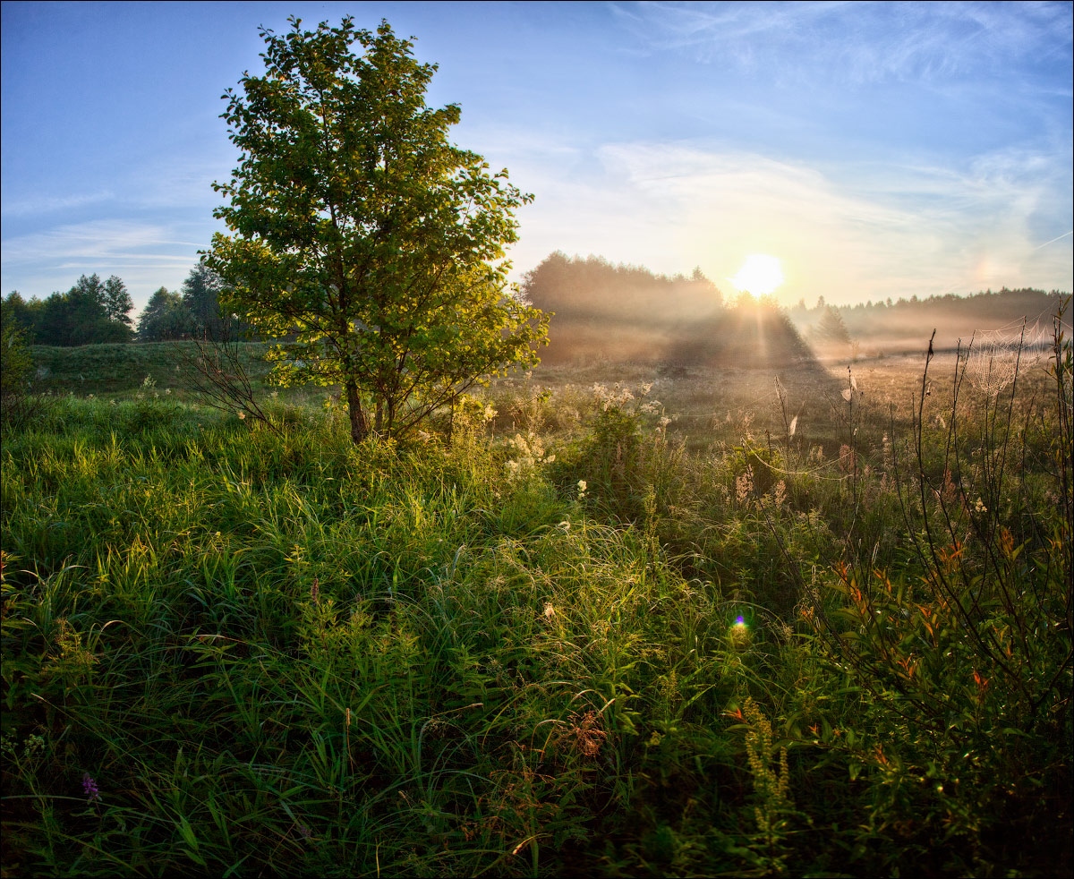 Раннее утро на природе. Утренний пейзаж деревня Герасимов. Летнее утро. Рассвет летом. Раннее летнее утро.