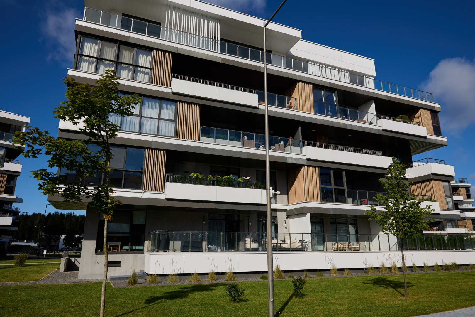 Фотограф Илья и Юлия Ширмановы, фотография от 17.12.2025