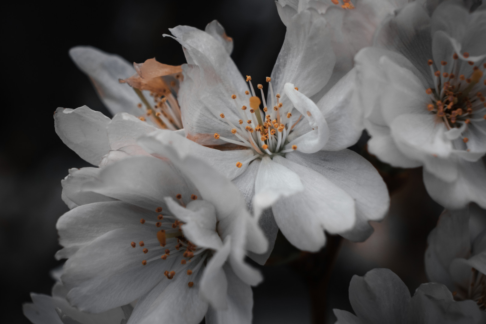 Фотограф Мария Войтик, фотография от 24.12.2025