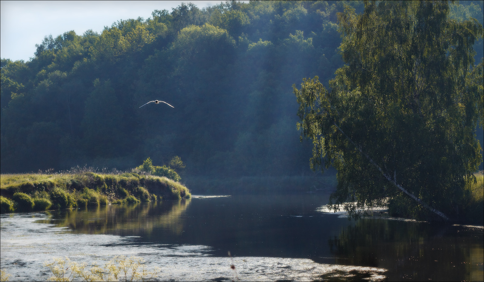 У реки | Фотограф Сергей Шабуневич | foto.by фото.бай