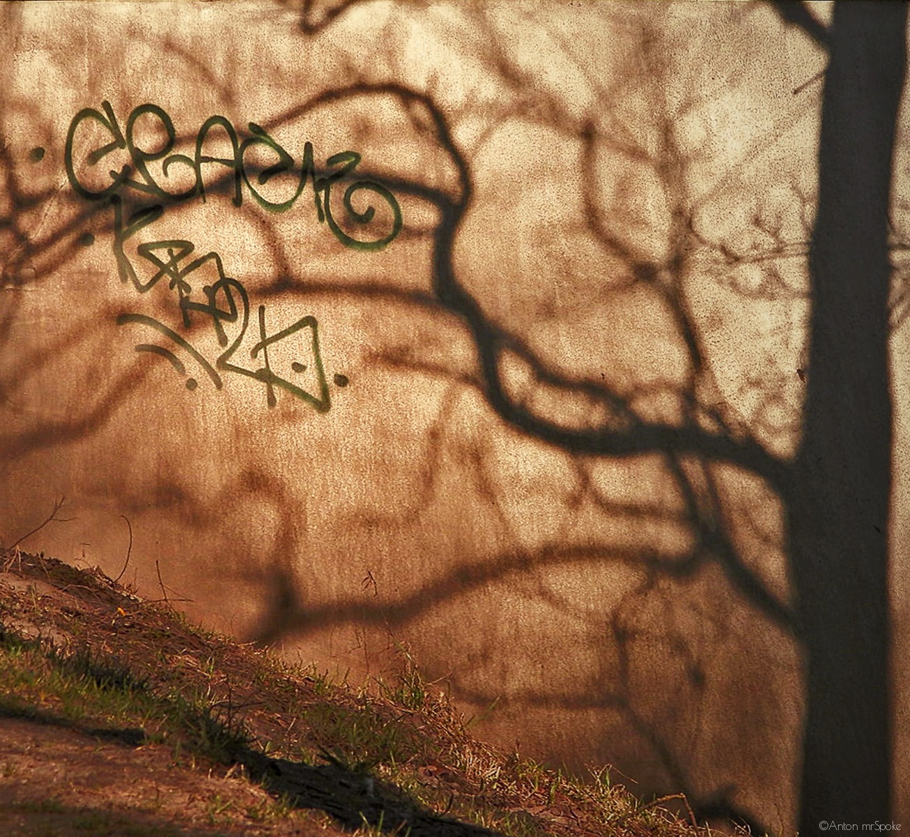 Теневой граффитчик | Фотограф Anton mrSpoke | foto.by фото.бай