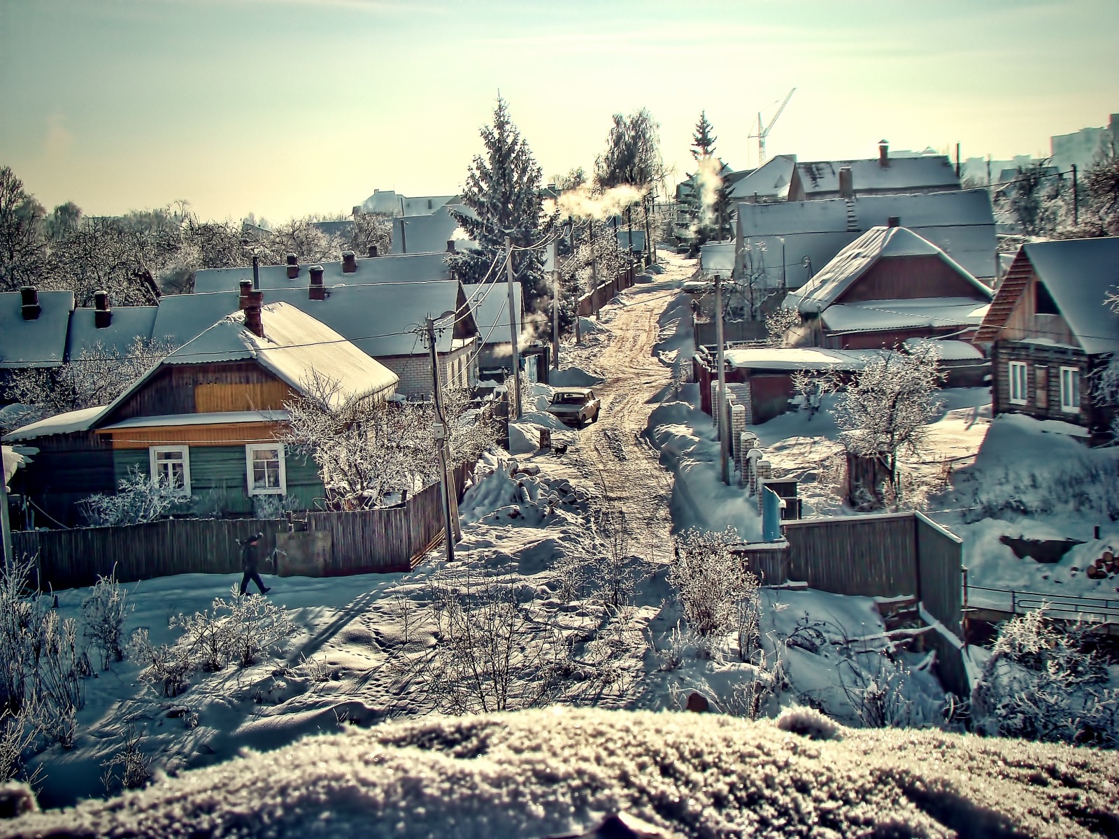 Жизнь зимой | Фотограф Александр Новик | foto.by фото.бай