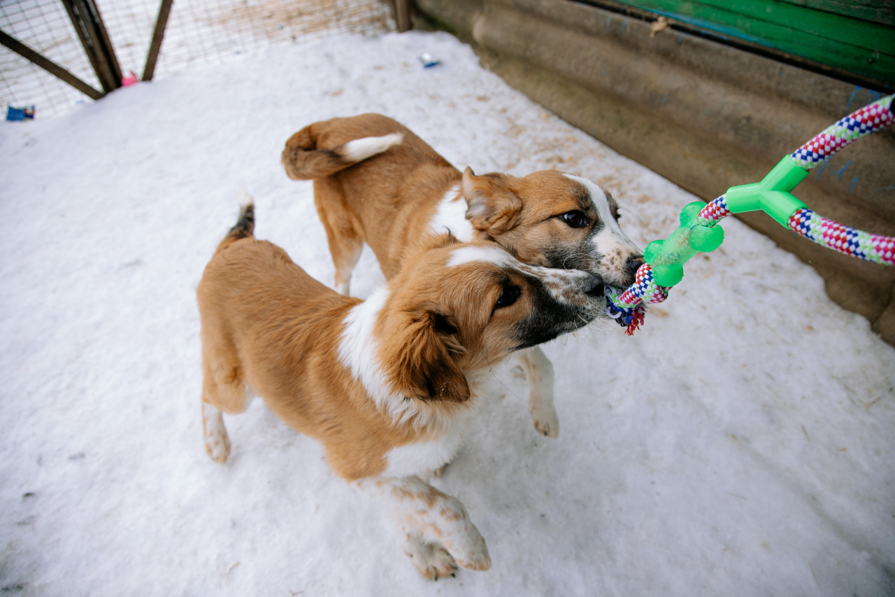Фотограф в Минске - семейный, свадебный, репортажный фотограф. Фотосъёмка крещения, дня рождения, юбилея, венчания, корпоратива в Минске., фотография от 18.02.2026