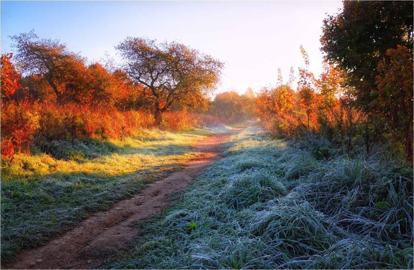Картинки с добрым утром поздняя осень. Осеннее утро. Раннее осеннее утро. Утренний осенний пейзаж. Настроение природы.