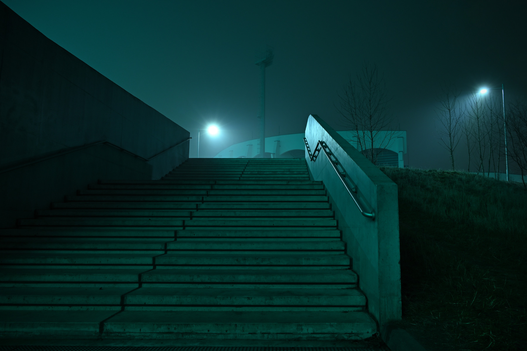 Пограничные ступени | foto.by фото.бай