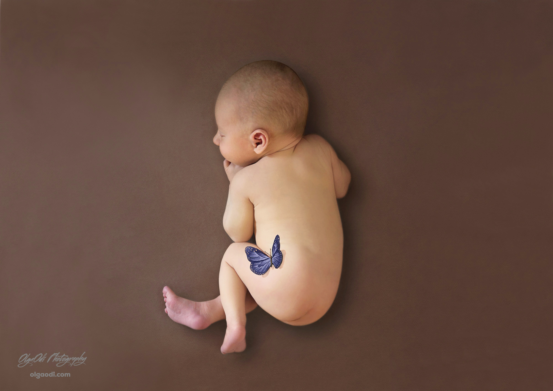 Фотограф новорожденных в городе Минске,  детский и семейный фотограф  Ольга Одинцова, фотография от 07.07.2022
