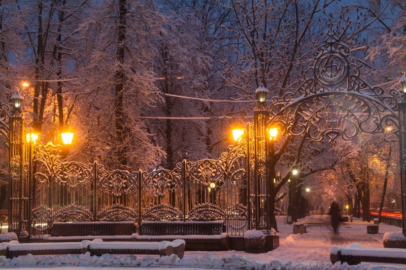 Только выпал снег | Фотограф Андрей Рыбачук | foto.by фото.бай