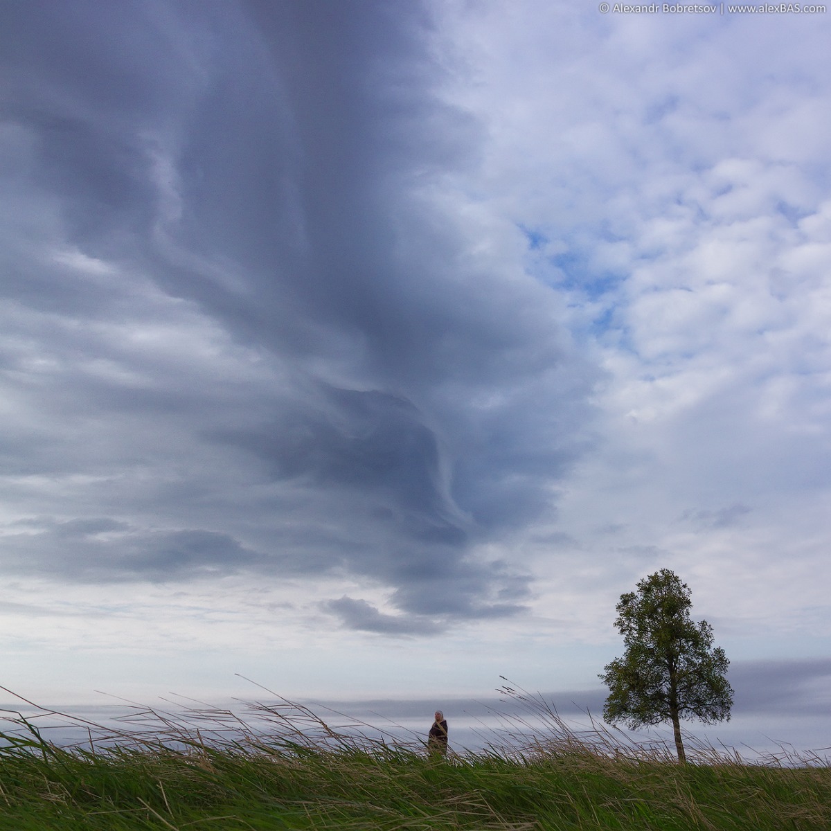 Июньский ветер | Фотограф Александр Бобрецов | foto.by фото.бай