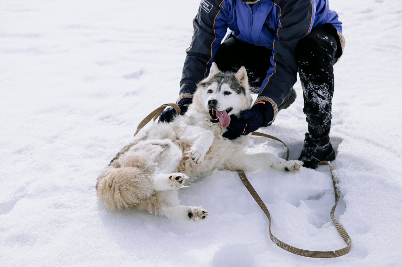 Фотограф в Минске - семейный, свадебный, репортажный фотограф. Фотосъёмка крещения, дня рождения, юбилея, венчания, корпоратива в Минске., фотография от 18.02.2026